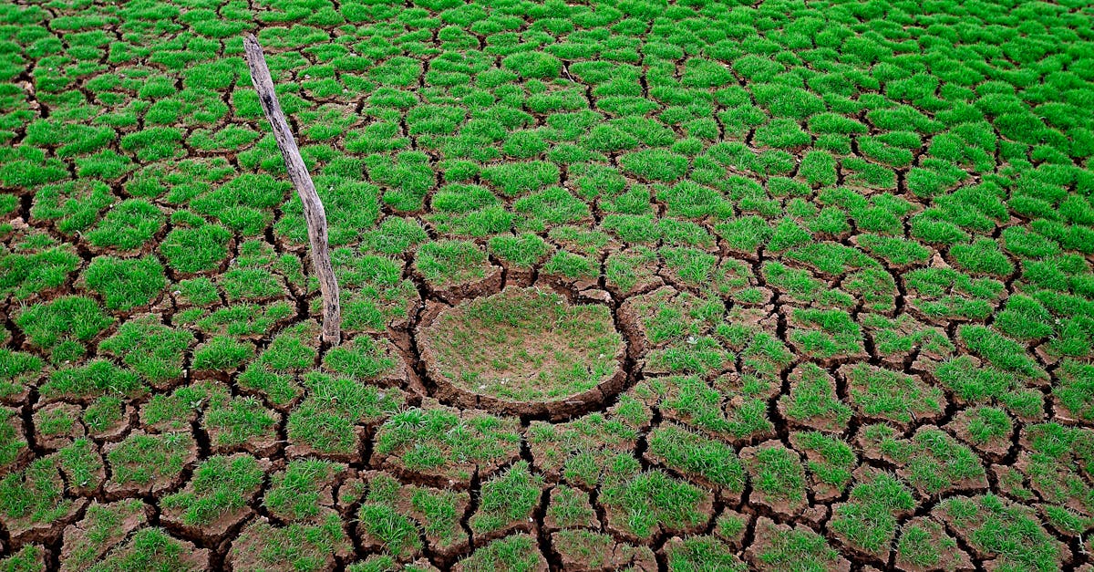 découvrez l'importance de l'évaluation de l'impact environnemental, un processus clé pour analyser les effets des projets sur la nature. apprenez comment cette pratique aide à minimiser les dommages écologiques et favorise un développement durable.