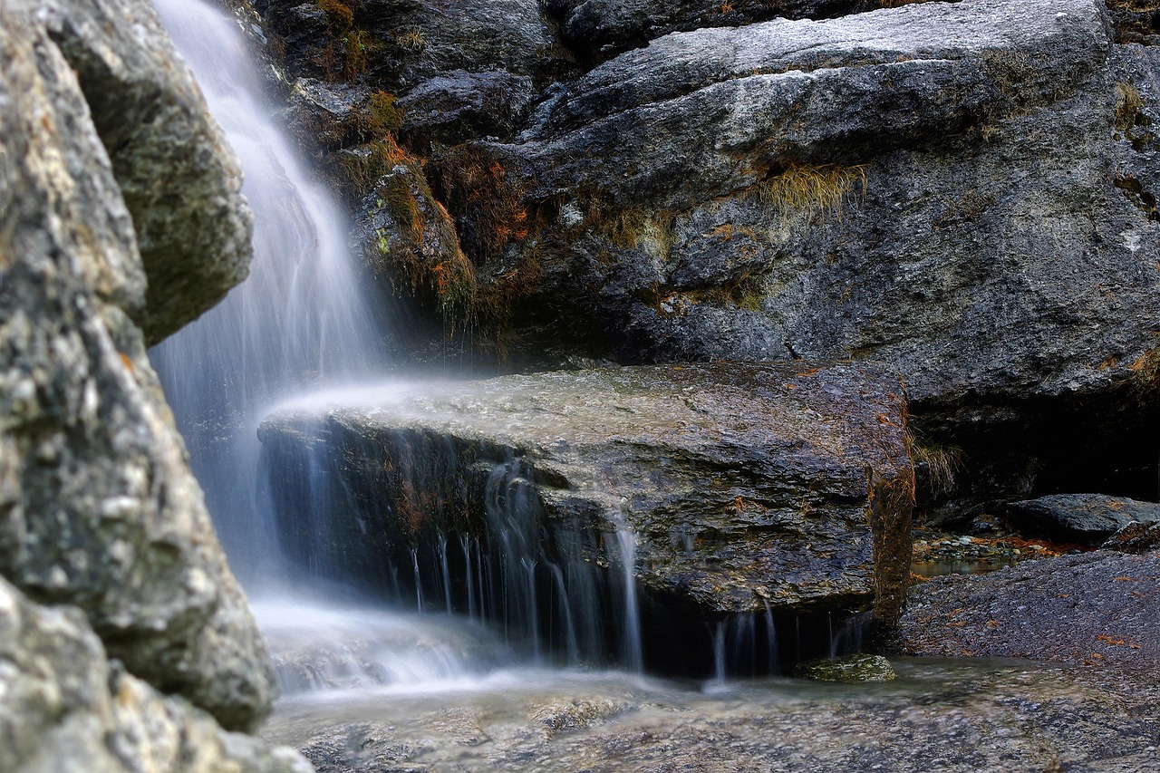 découvrez des informations essentielles et des conseils pratiques pour protéger et préserver l'environnement, et agir en faveur d'un avenir durable.