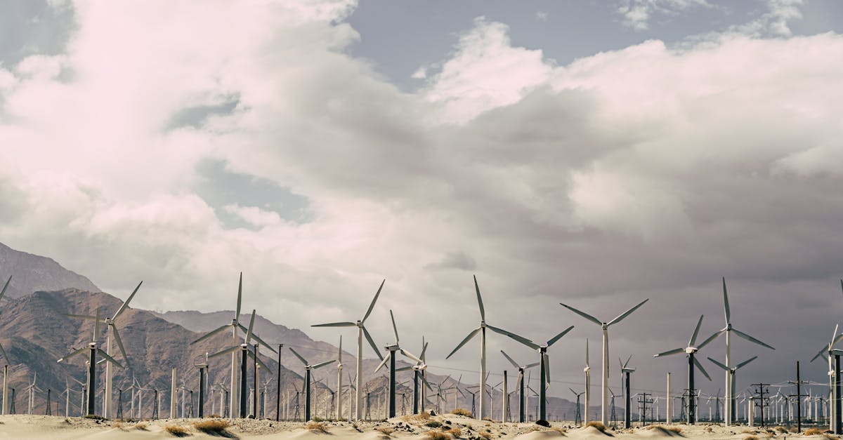 découvrez comment la transition énergétique transforme notre avenir en favorisant des sources d'énergie renouvelables, réduisant notre empreinte carbone et promouvant des pratiques durables. explorez les innovations et les initiatives qui façonnent un monde plus vert et éco-responsable.