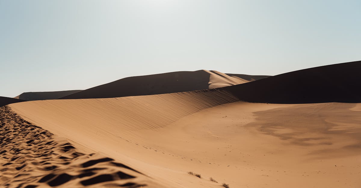 découvrez les enjeux des négociations climatiques, un processus essentiel pour lutter contre le changement climatique et favoriser la coopération internationale. suivez les dernières avancées et initiatives pour un avenir durable.