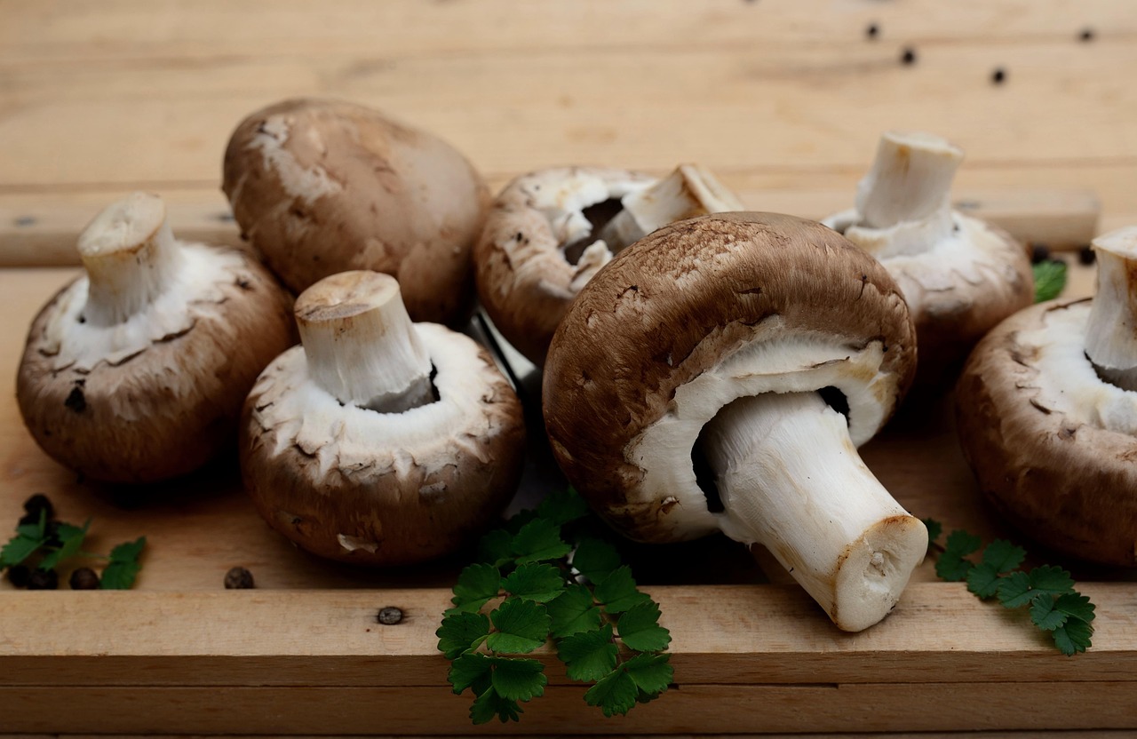 découvrez une sélection d'ingrédients de cuisine de qualité pour sublimer toutes vos recettes. fraîcheur, saveurs et conseils pour réussir vos plats facilement.