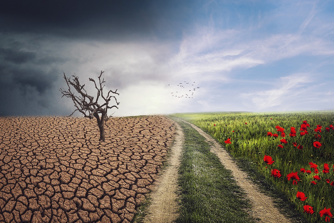 découvrez les enjeux du changement climatique, ses impacts environnementaux et les actions pour protéger notre planète face au réchauffement global.