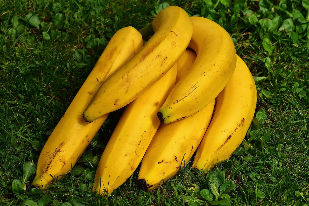 découvrez des conseils nutritionnels et des régimes personnalisés pour adopter une alimentation saine et équilibrée, adaptée à vos objectifs de santé et bien-être.