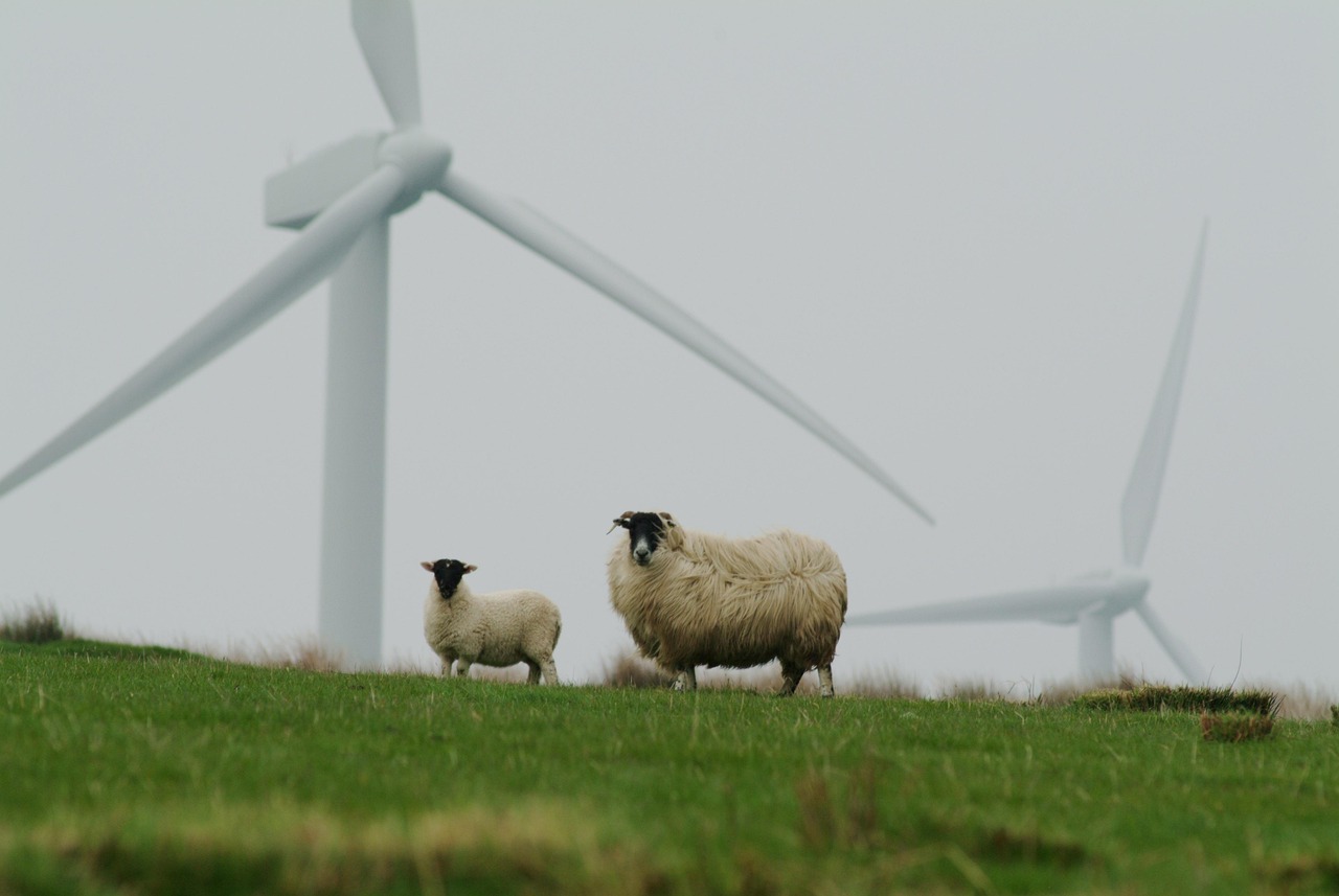 découvrez les principes et les enjeux de la durabilité, ses impacts sur l'environnement et la société, ainsi que des conseils pratiques pour adopter un mode de vie et des pratiques plus durables au quotidien.