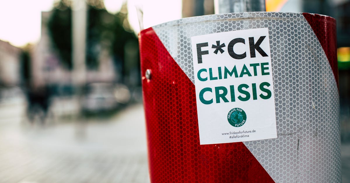 découvrez comment protéger notre planète grâce à des actions concrètes en faveur de l'environnement. explorez des conseils pratiques, des initiatives durables et des solutions innovantes pour préserver la biodiversité et lutter contre le changement climatique.