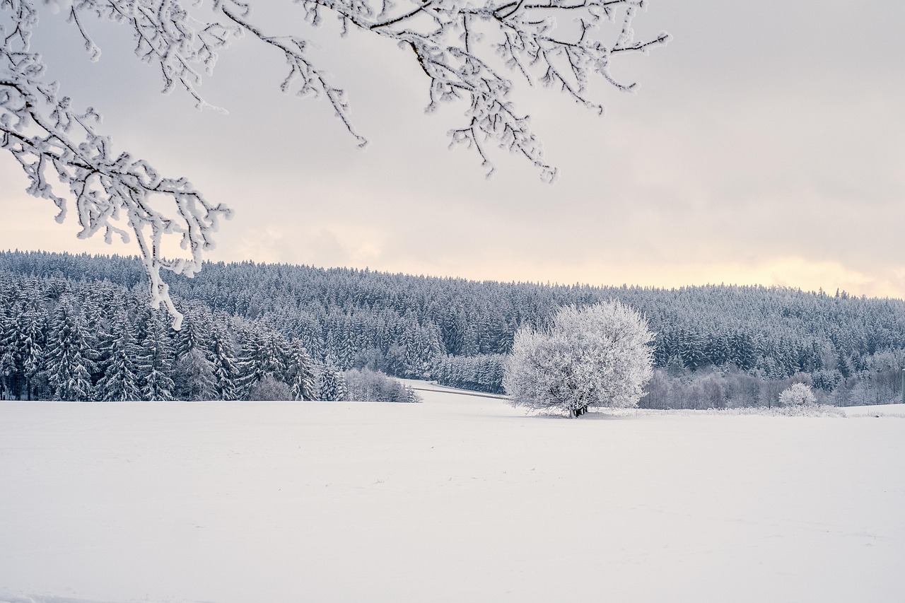 découvrez des paysages magnifiques alliant nature et sérénité, parfaits pour s'évader et se ressourcer.