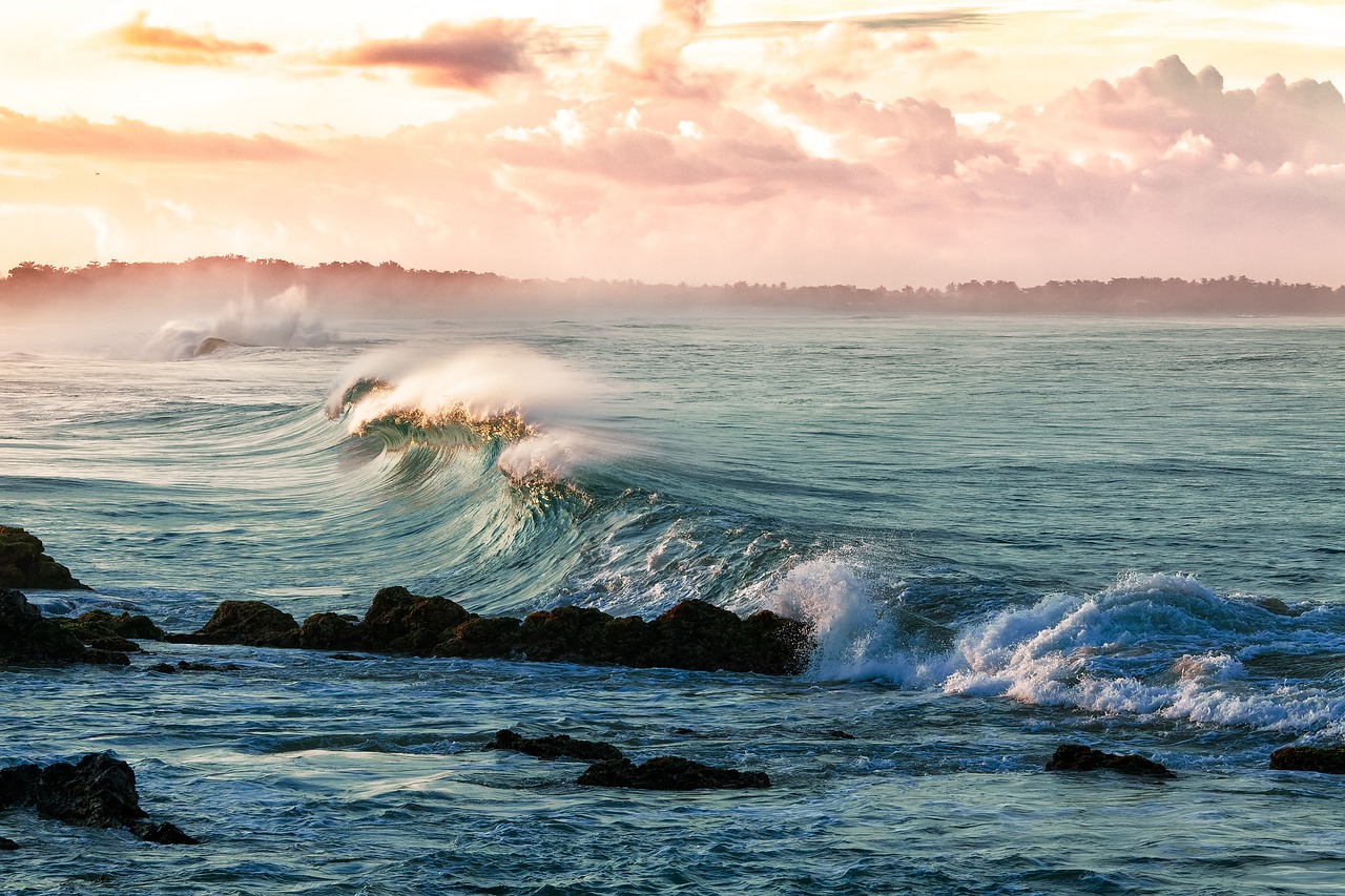 découvrez la beauté et la richesse des océans, ces vastes étendues d'eau qui abritent une biodiversité incroyable. plongez dans l'univers fascinant des mers et océans, où chaque vague raconte une histoire et chaque créature marine joue un rôle essentiel dans notre écosystème.