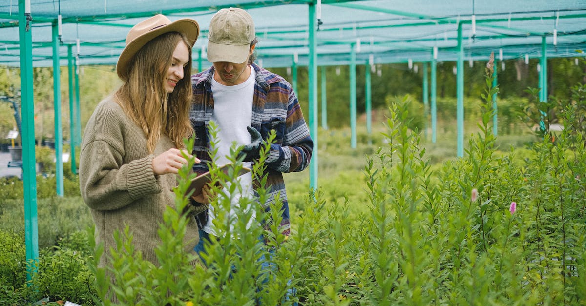 découvrez la permaculture, une méthode durable de culture qui respecte les écosystèmes naturels. apprenez à créer des jardins autofertiles, à utiliser efficacement les ressources et à cultiver en harmonie avec la nature. transformez votre espace en un écosystème productif et équilibré.