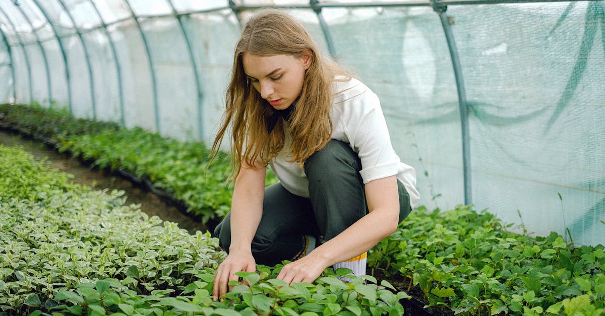 découvrez la permaculture, une méthode de jardinage et d'agriculture durable qui respecte l'environnement. apprenez à créer des écosystèmes résilients, à cultiver harmonieusement avec la nature et à produire des aliments sains tout en préservant la biodiversité.