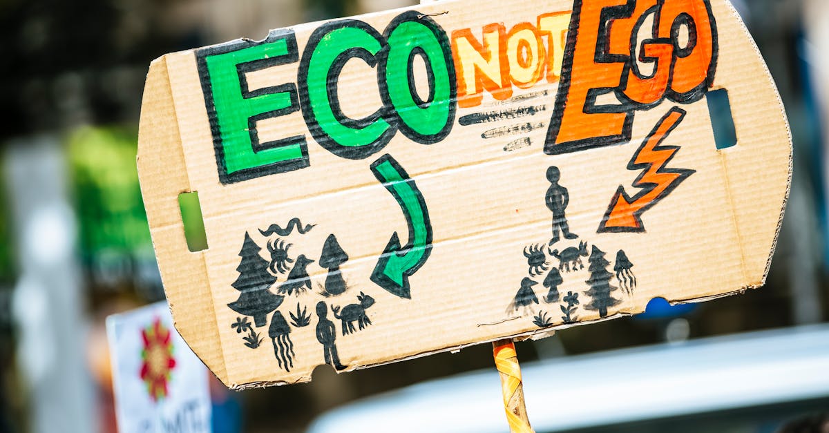 découvrez l'importance de la sensibilisation environnementale et comment elle influence nos comportements pour protéger notre planète. adoptez des gestes écoresponsables et participez à des initiatives pour un avenir durable.