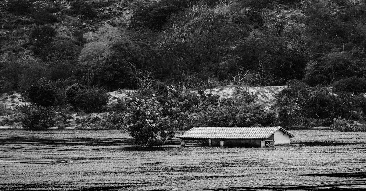 découvrez les risques environnementaux qui menacent notre planète. informez-vous sur les impacts du changement climatique, la pollution, et la perte de biodiversité, et apprenez comment agir pour un avenir durable.