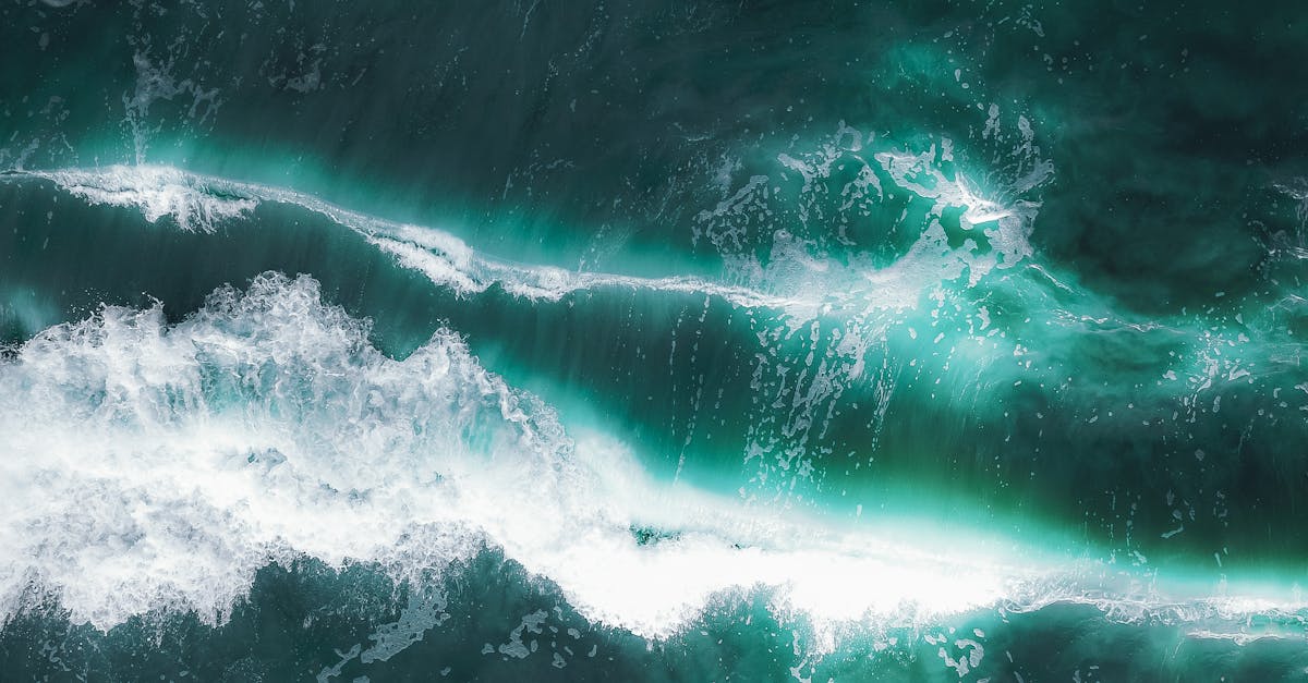 découvrez comment l'énergie et l'écologie s'entrelacent pour créer un avenir durable. explorez des solutions innovantes, des technologies vertes et des pratiques respectueuses de l'environnement pour promouvoir un mode de vie éco-responsable.