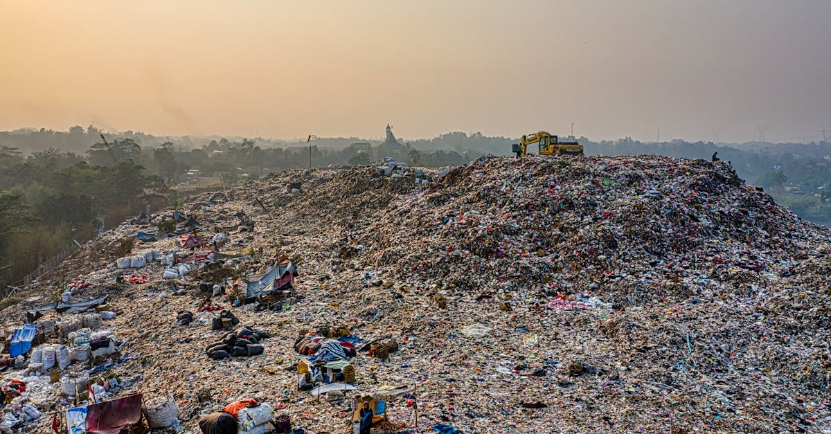 découvrez des solutions innovantes et durables pour la gestion des déchets. optimisez le recyclage, réduisez l'impact environnemental et améliorez la qualité de vie grâce à des pratiques responsables en gestion des déchets.