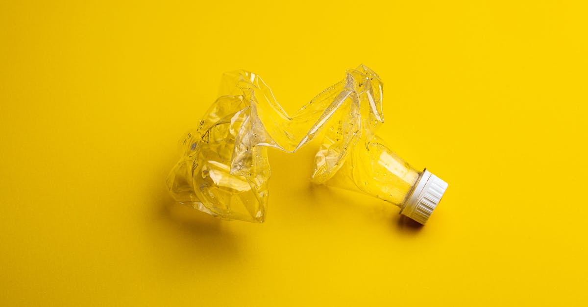 découvrez les principes du zéro déchet et comment adopter un mode de vie durable. apprenez à réduire vos déchets au quotidien grâce à des astuces pratiques et des alternatives écologiques pour préserver notre planète.