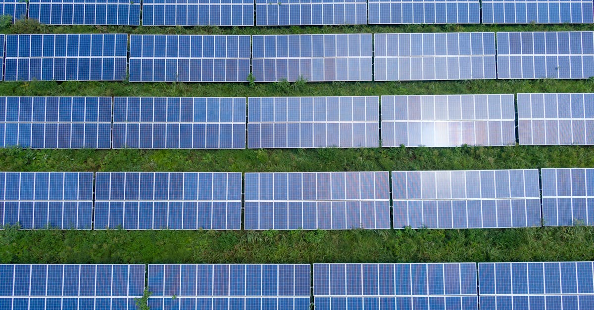 découvrez les innovations écologiques qui transforment notre monde. explorez des solutions durables, des technologies vertes et des idées novatrices pour un avenir plus respectueux de l'environnement.
