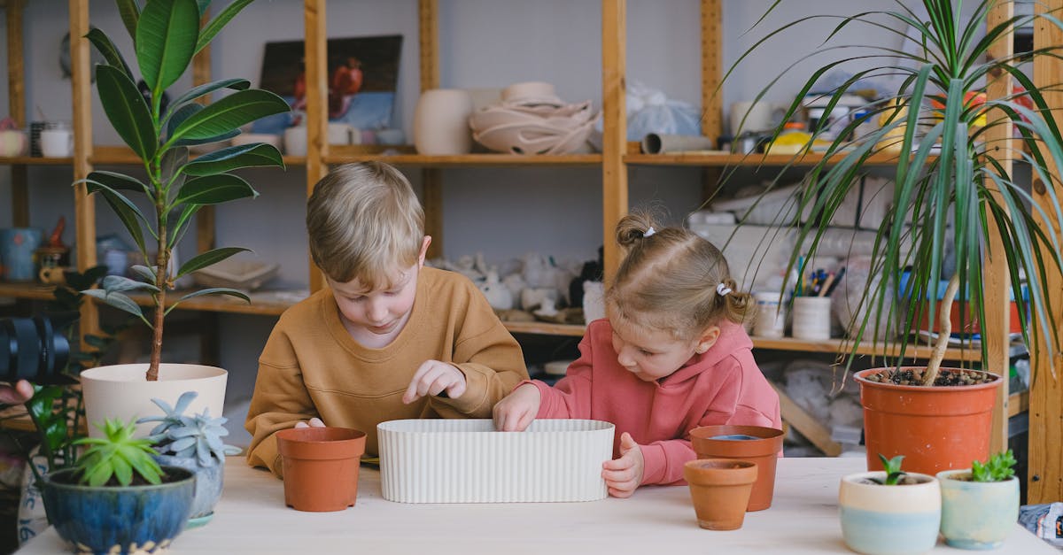 découvrez l'importance de l'éducation environnementale pour sensibiliser les générations futures aux enjeux écologiques. apprenez comment intégrer des pratiques durables dans l'éducation pour protéger notre planète.