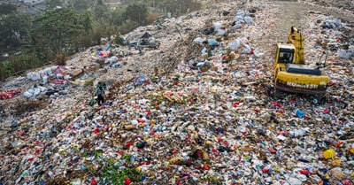 Cultures durables : adopter des pratiques respectueuses de l’environnement pour un avenir meilleur