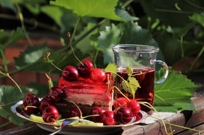 Jardinage bio balcon : conseils essentiels pour cultiver sainement en ville