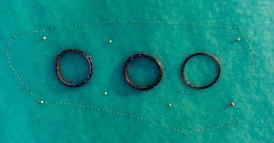 Gestion des ressources naturelles : enjeux et stratégies pour un avenir durable