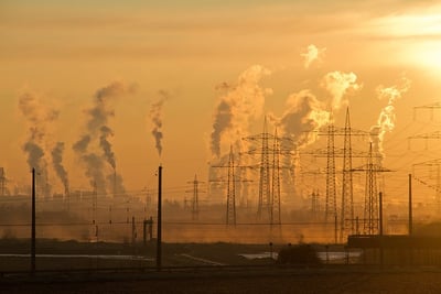 Explorez notre collection complète d’articles sur l’impact environnemental