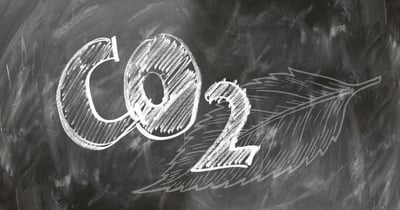 Les avantages de la neutralité carbone pour les organisations