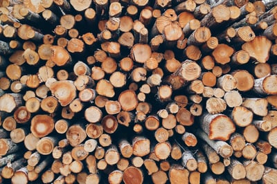Brésil : L’Amazonie en 2025 enregistre la plus faible déforestation jamais constatée