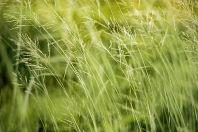 L’importance de l’engagement envers l’environnement