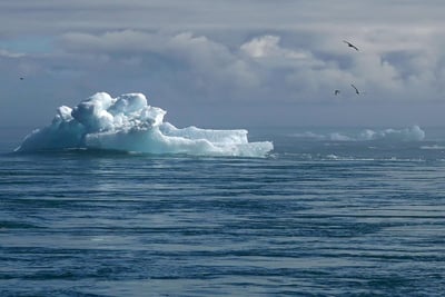 S’adapter efficacement aux défis du changement climatique