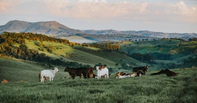Agroécologie : Une solution durable pour l’avenir de l’agriculture