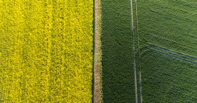 Concertations environnementales : enjeux et perspectives pour l’avenir
