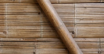 Bâtiment écologique : les avantages et enjeux d’une construction durable