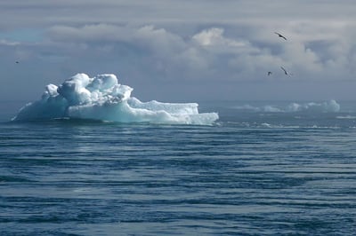 La bataille contre le réchauffement climatique éclipse-t-elle la lutte contre la pollution ?