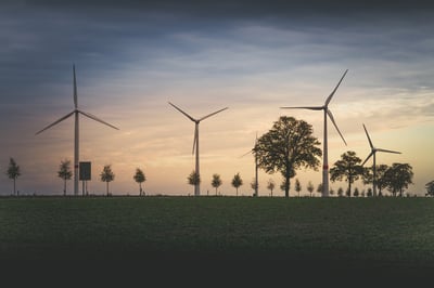 Municipales à Bolbec et Lillebonne : les projets environnementaux des candidats décryptés