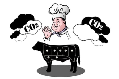 Réduire son empreinte carbone : une question de conscience