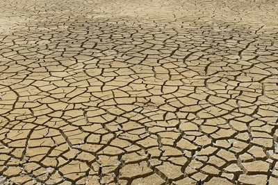 Changement climatique et agriculture : comment s’adapter efficacement ?