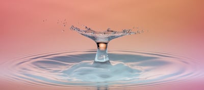 Les Répercussions Écologiques : Comprendre l’Impact Environnemental
