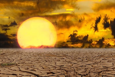 Canicule en France : des années de préparation suffiront-elles à affronter la chaleur extrême ?