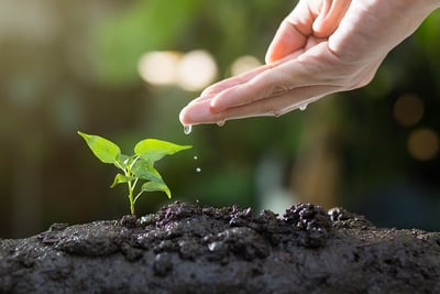Écologie et économie : comment concilier croissance et durabilité ?