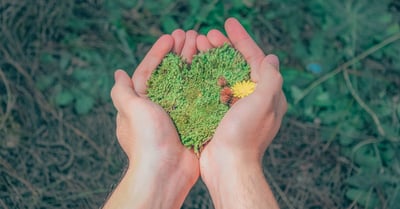 Environnement : Comprendre l’impact de nos gestes quotidiens sur la planète