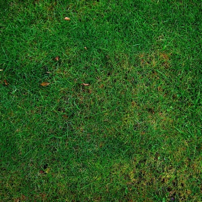 L’édition s’engage vers des livres toujours plus écologiques