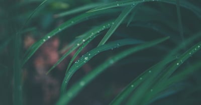Captage du carbone : une solution innovante pour réduire les émissions de CO2