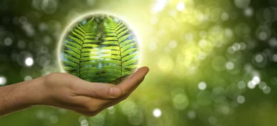 Les KPIs environnementaux : des outils incontournables pour accompagner la transition écologique d’une entreprise engagée