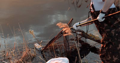 Restauration des habitats : stratégies efficaces pour promouvoir la biodiversité