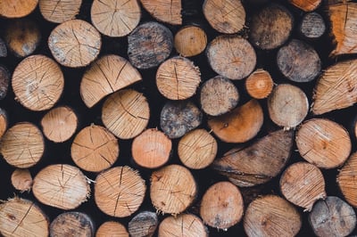 Les forêts : quand la libération de CO₂ dépasse la capture