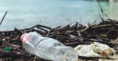 Sensibilisation écologique : Agir pour protéger notre planète