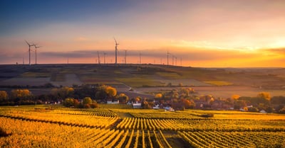 Développement durable : stratégies innovantes pour un avenir écologique