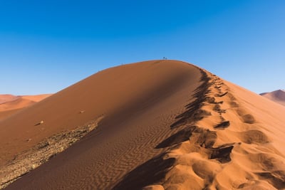 Tunisie : un investissement colossal de 55 milliards de dollars pour un plan climatique ambitieux visant à renforcer la résilience d’ici 2035