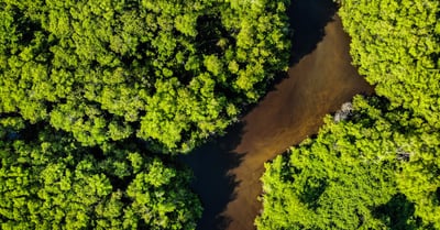Préservation du climat : des actions concrètes pour un avenir durable