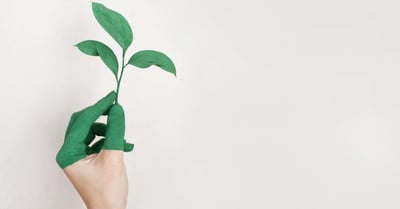 Modèle d’affaires vert : comment intégrer la durabilité dans votre stratégie d’entreprise