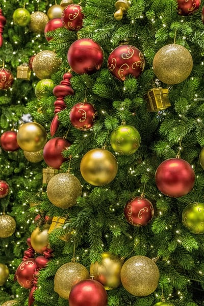 Noël : choisir entre un sapin naturel ou en plastique pour une option éco-responsable